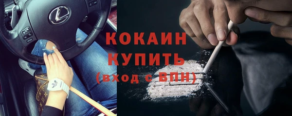 прущие крисы Киренск