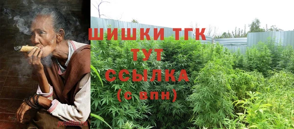 прущие крисы Киренск