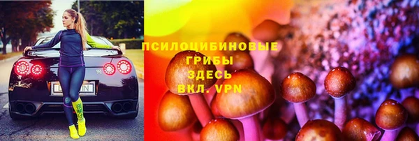 прущие крисы Киренск