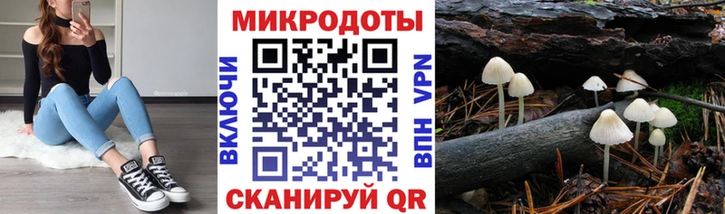 Псилоцибиновые грибы GOLDEN TEACHER  Купить закладки  Вышний Волочёк 